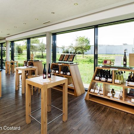 Meyerhof - Bioweingut, Vinothek & Gaestehaus Flonheim Ngoại thất bức ảnh