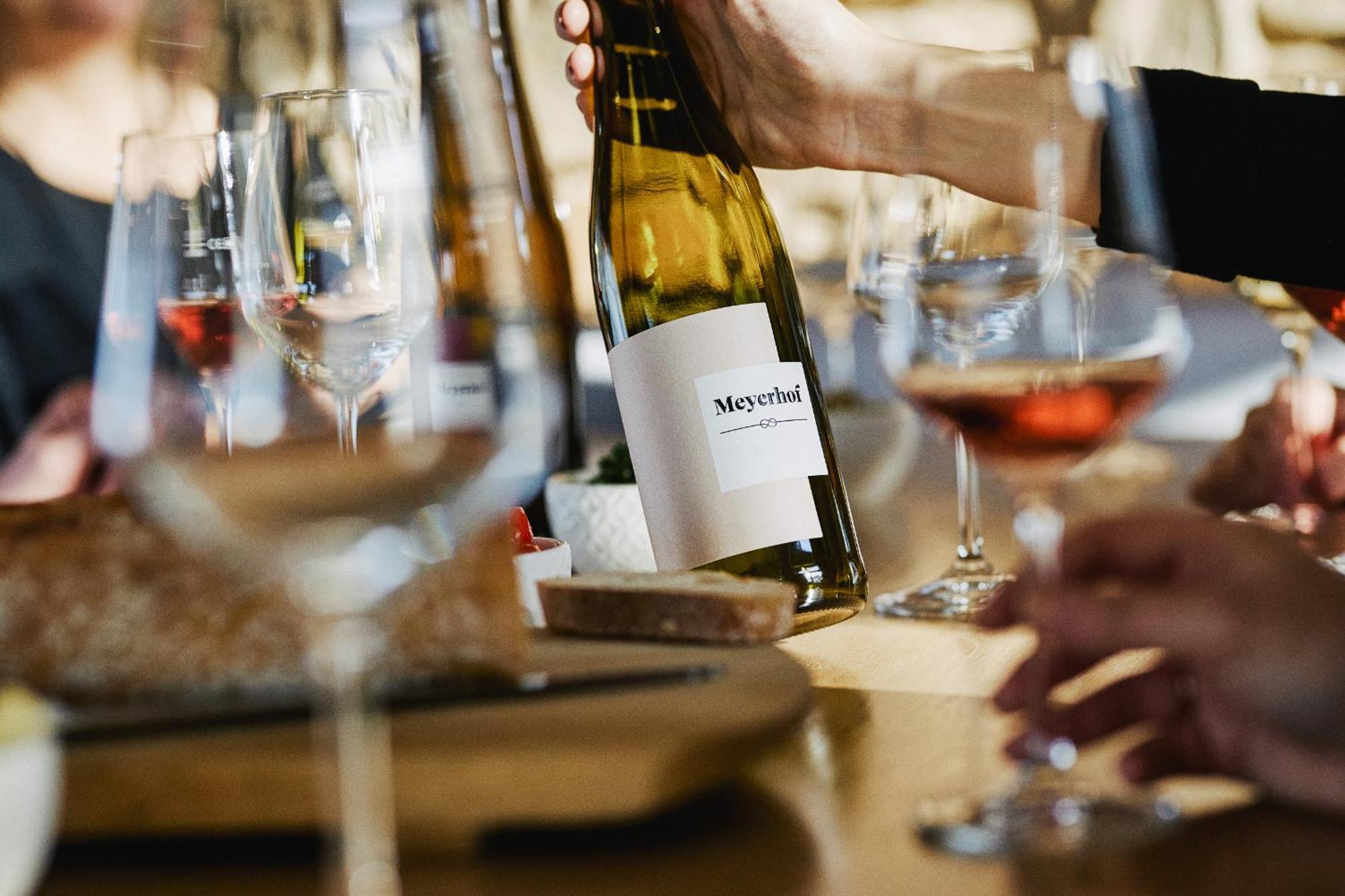 Meyerhof - Bioweingut, Vinothek & Gaestehaus Flonheim Ngoại thất bức ảnh