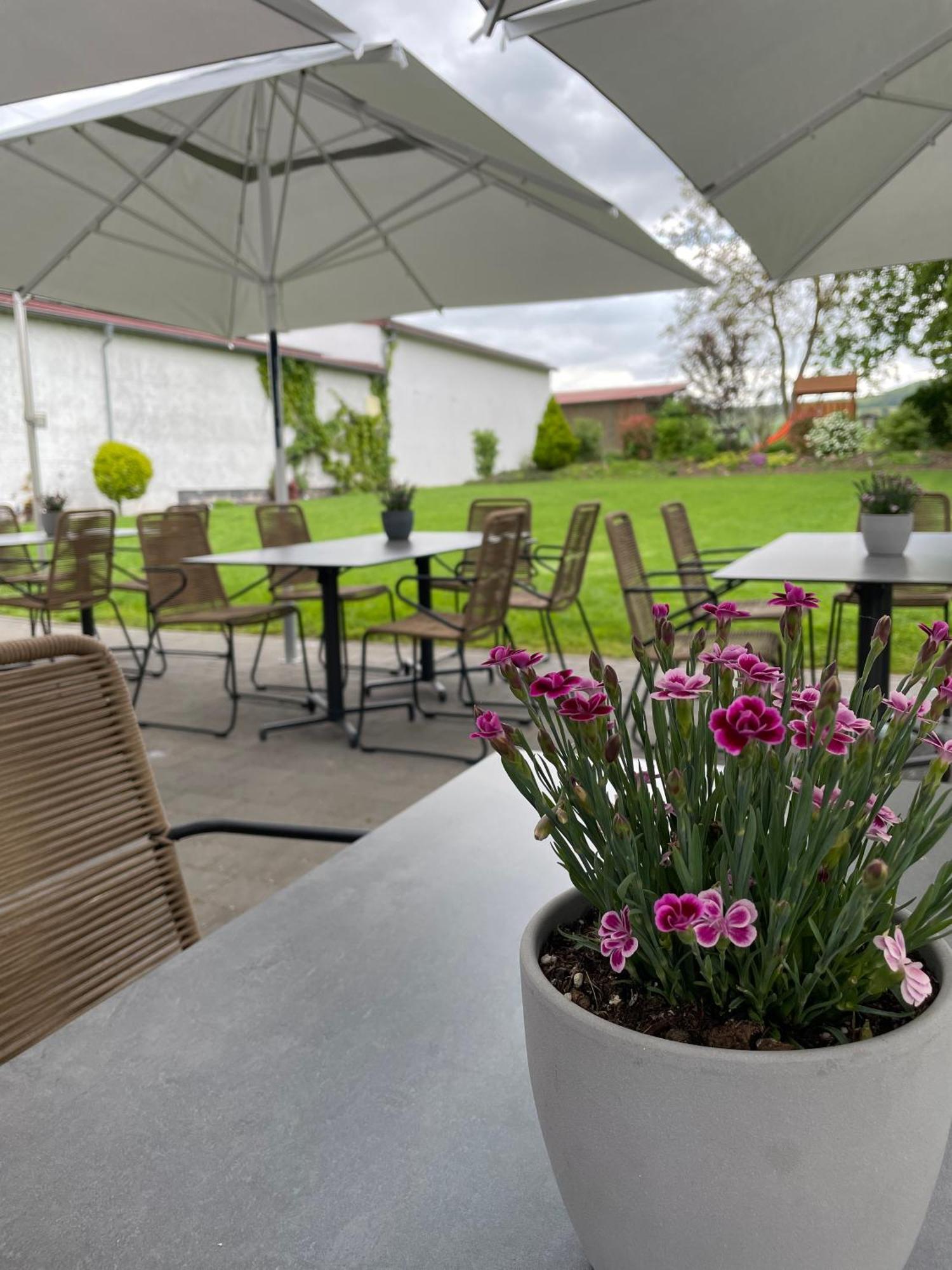 Meyerhof - Bioweingut, Vinothek & Gaestehaus Flonheim Ngoại thất bức ảnh