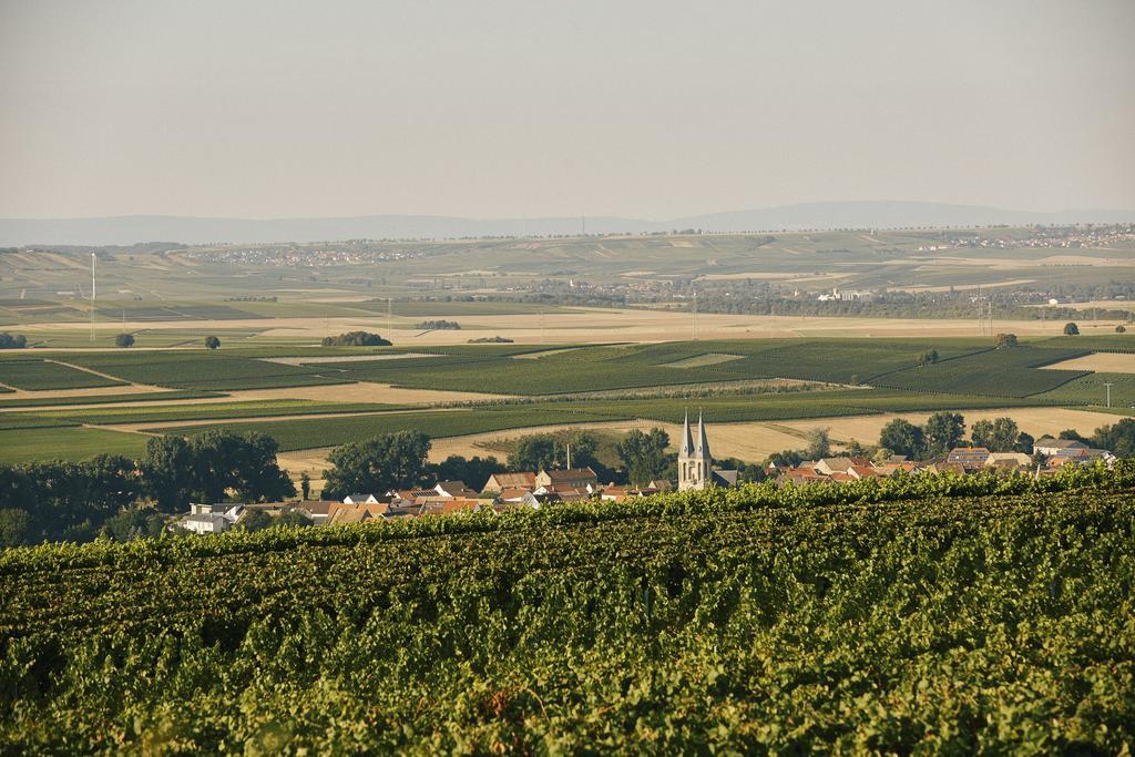 Meyerhof - Bioweingut, Vinothek & Gaestehaus Flonheim Ngoại thất bức ảnh
