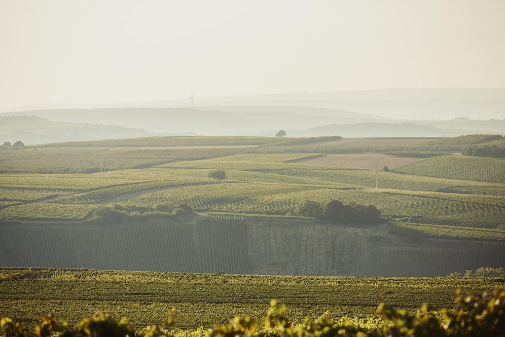 Meyerhof - Bioweingut, Vinothek & Gaestehaus Flonheim Ngoại thất bức ảnh