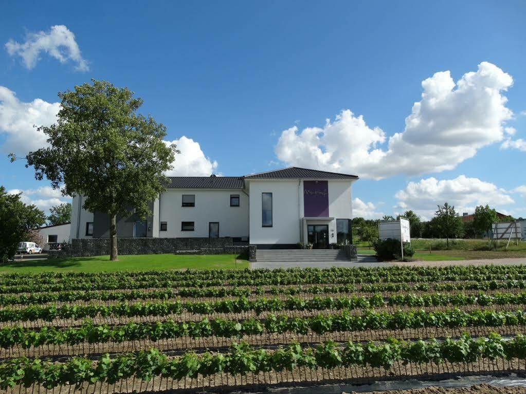 Meyerhof - Bioweingut, Vinothek & Gaestehaus Flonheim Ngoại thất bức ảnh